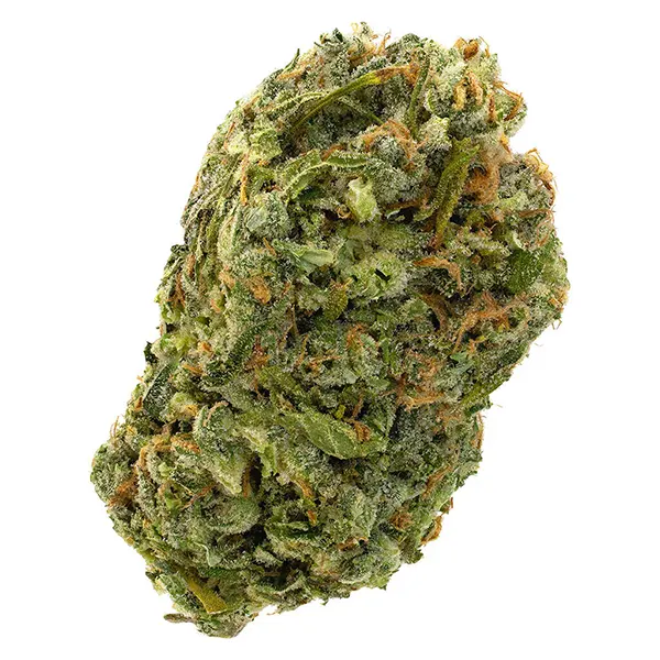 Bud image for Silver Diesel, cannabis dried flower by 7Acres