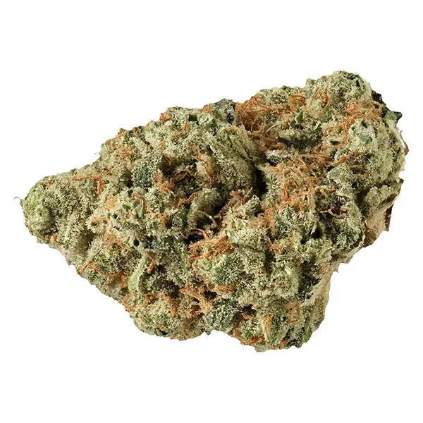 Bud image for SKYWLKR OG, cannabis all products by Versus