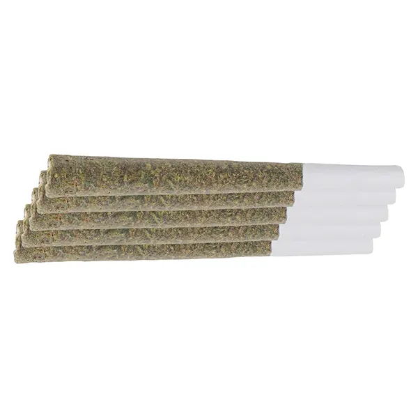 Image for Slurricane Pre-Roll, cannabis all products by Persy