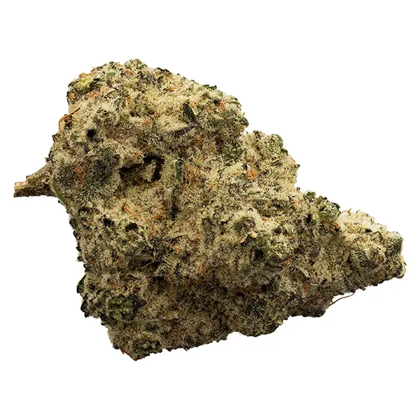 Bud image for Headband, cannabis dried flower by The Loud Plug