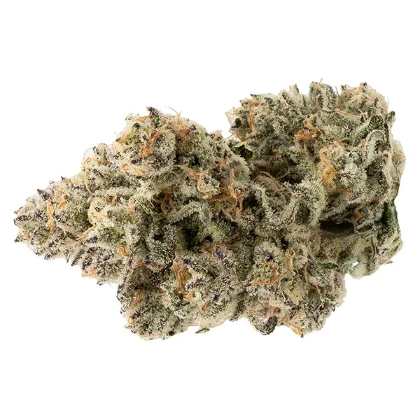 Bud image for The Collective Oz, cannabis dried flower by Northern Canna