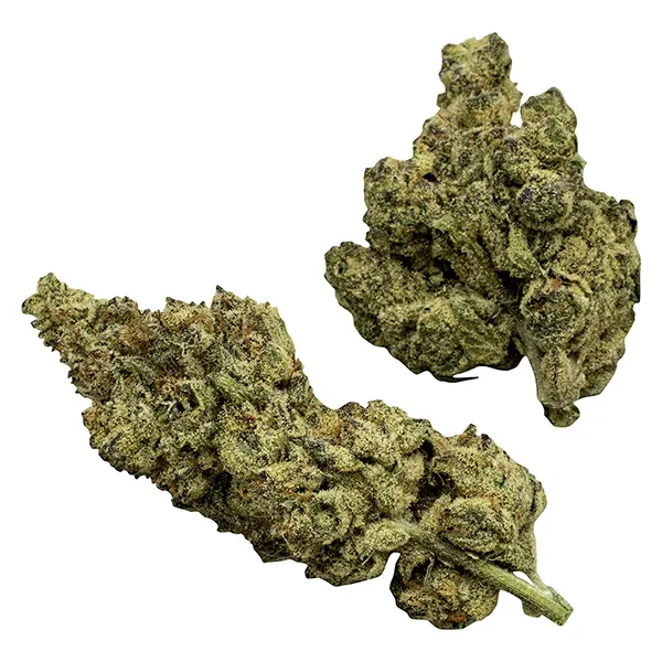 Bud image for The Conspiracy Series, cannabis dried flower by Rosin Heads