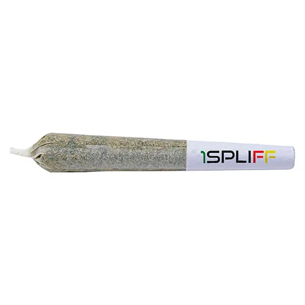 Image for The Titan Variety Pack Pre-Roll