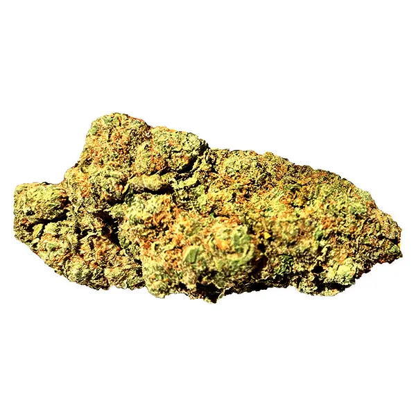 Bud image for TRUE SKUNK - Premium Buds, cannabis dried flower by FatCat