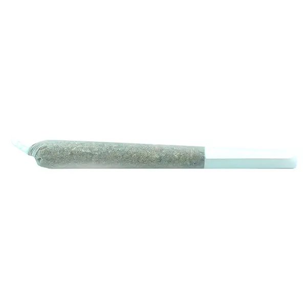 Image for Truffle Treats Pre-Roll, cannabis all products by Truro
