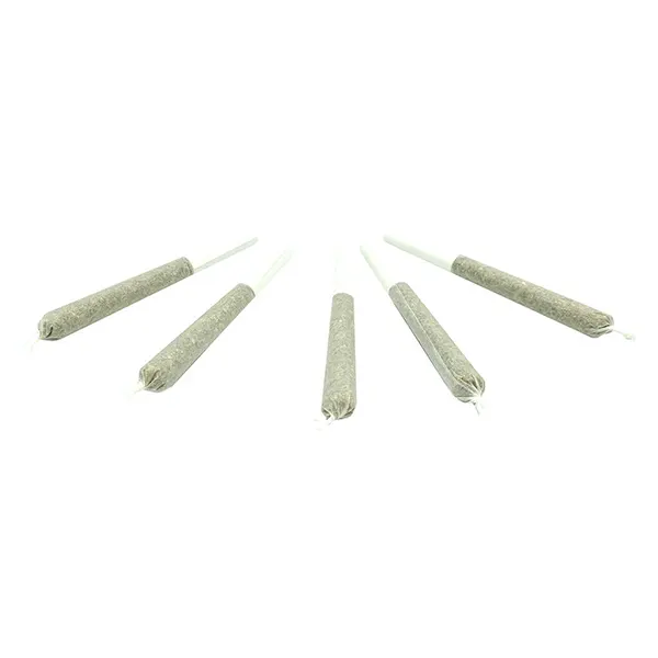 Image for Truffle Treats Pre-Roll, cannabis pre-rolls by Truro