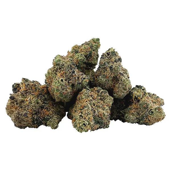 Bud image for America's Most Wanted, cannabis dried flower by BC 1/4