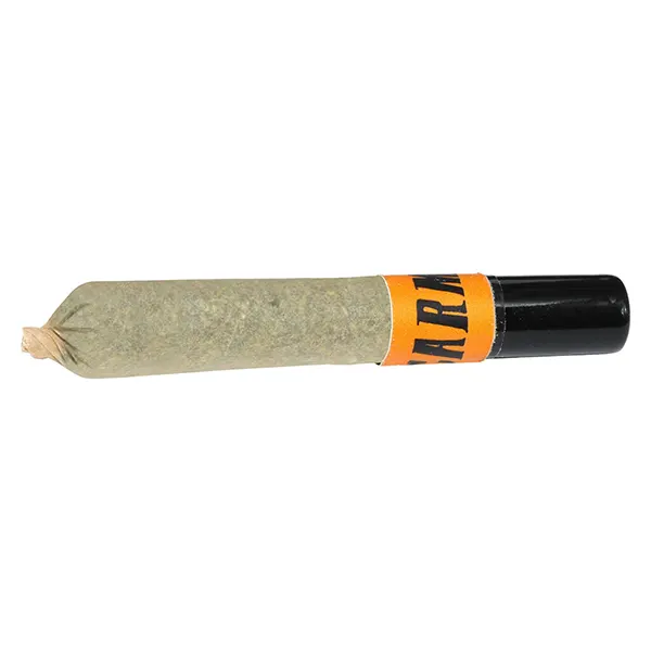 Image for Animal Face Ceramic Tip Pre-Roll, cannabis pre-rolls by Carmel