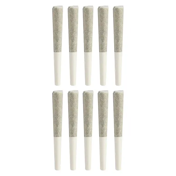 Image for Animal Junky Dog Walker Pre-Roll