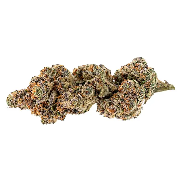 Bud image for Apes in Space, cannabis all products by North of 28