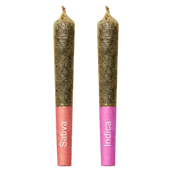 Image for Gemini Sun and Moon Duo Pack Shatter Infused Pre-Roll, cannabis all products by High Priestess