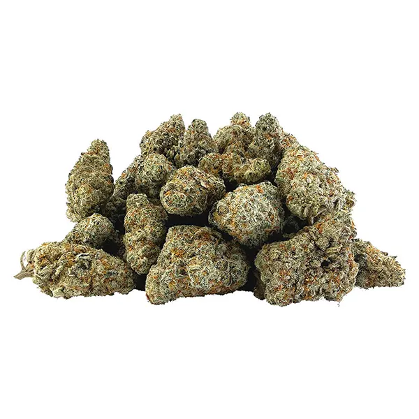 Bud image for Bazooka, cannabis all products by BC OZ