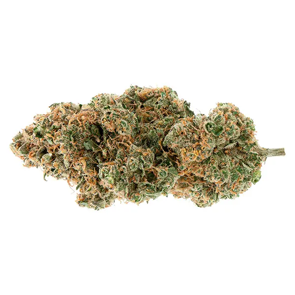 Bud image for BC Organic Tangerine Sunrise, cannabis all products by Simply Bare