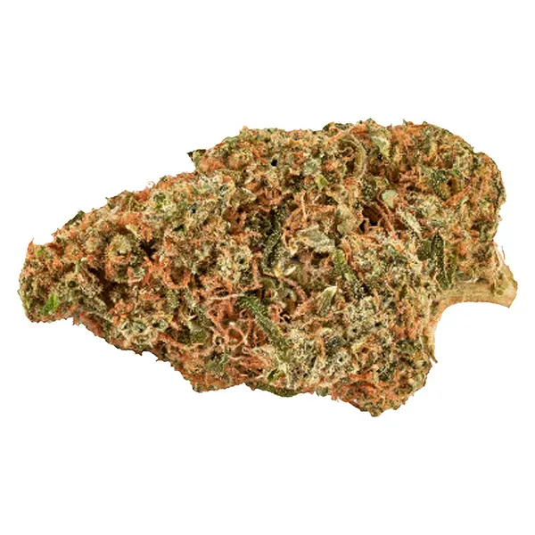 Bud image for Big Bang Indica Smallz, cannabis all products by Carnaval Cannabis