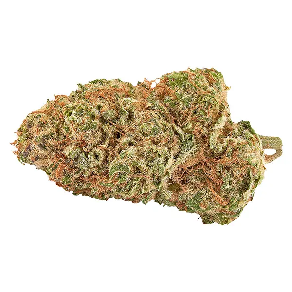 Bud image for Big Bang Sativa Smallz, cannabis all products by Carnaval Cannabis