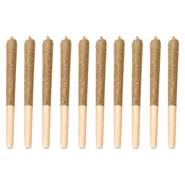 Carnaval Kush Pr..