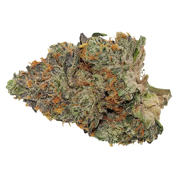 Bud image for Blue Zushi, cannabis all products by Pistol and Paris