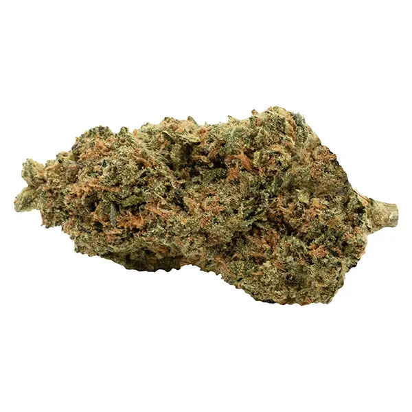 Bud image for C99 Haze, cannabis dried flower by Soar