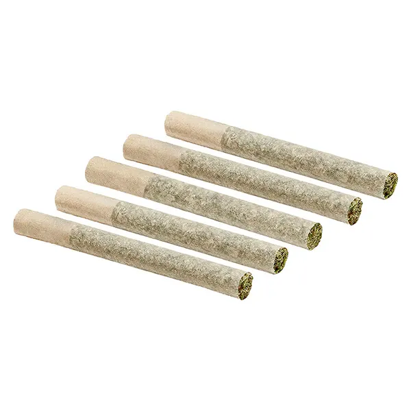 Image for Coastal Cuts Pre-Roll