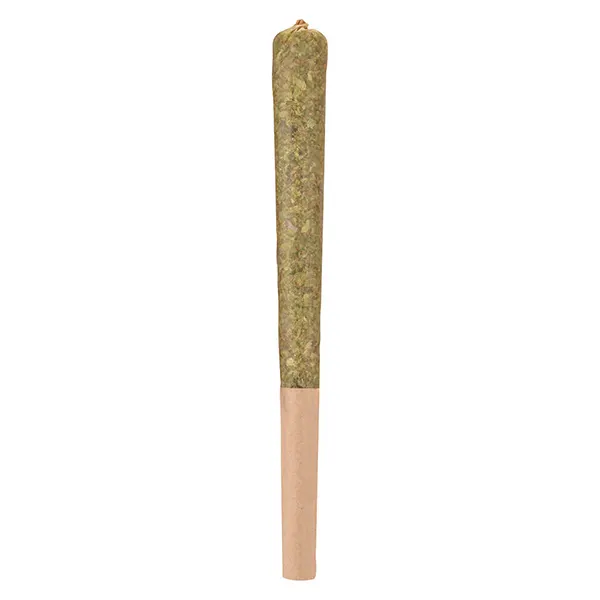 Image for Dark Rainbow Infused Pre-Roll, cannabis pre-rolls by Woody Nelson