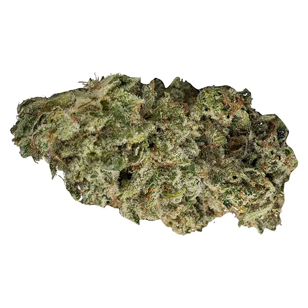 Bud image for DBL Dutch, cannabis all products by Contraband