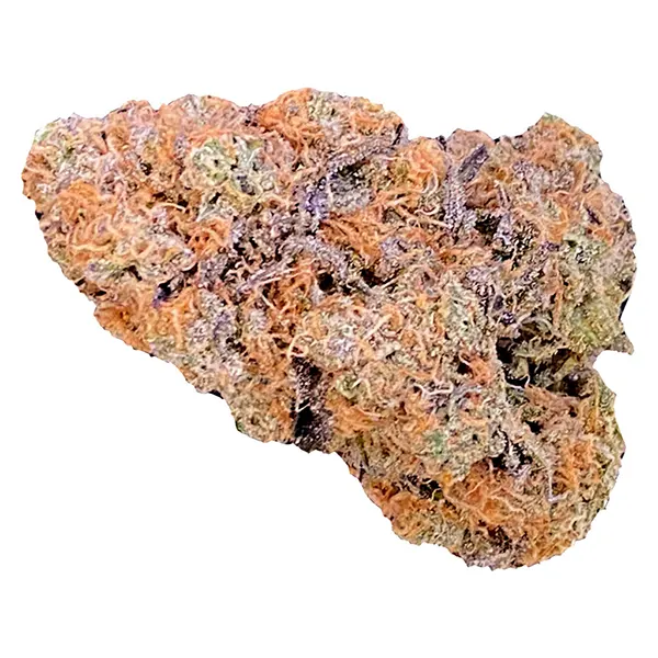 Bud image for Frozen Black Cherry, cannabis all products by Dazed N' Confused