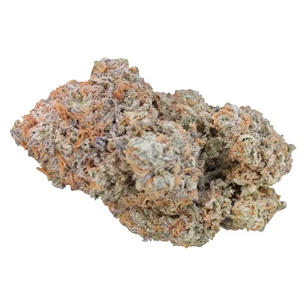 Oreoz X Orange P..
