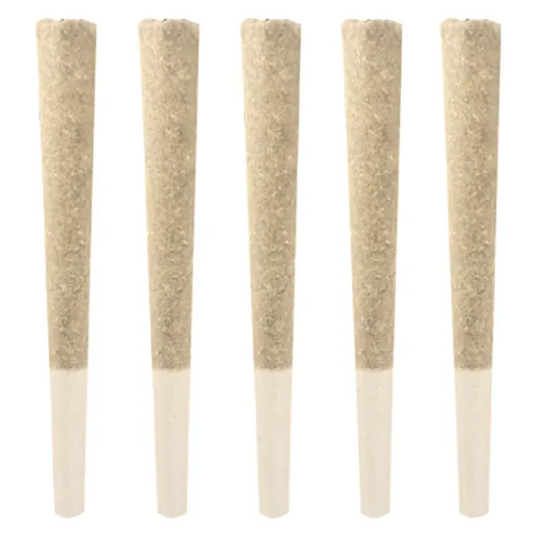Image for Gas Pack Pre-Roll, cannabis all products by Dom Jackson