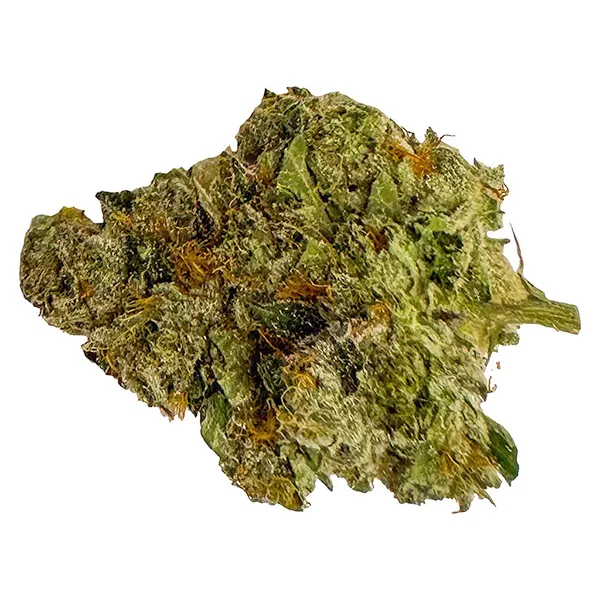 Bud image for Gastro Pop Ultra Minis Craft, cannabis all products by True Fire