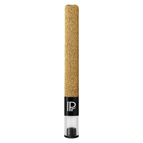 Image for Golden Boot Hash Infused Kief Coated Infused Pre-Roll