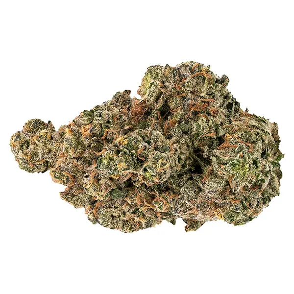 Bud image for Golden Hour - Dried Flower, cannabis all products by FIGR