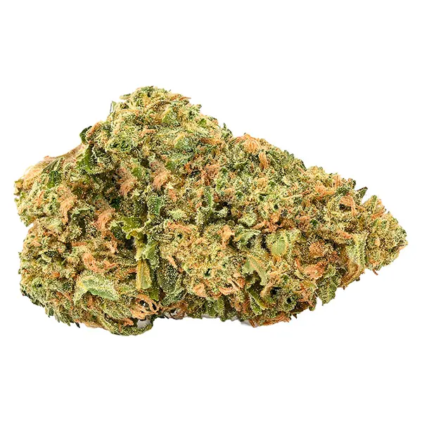Bud image for Gorilla Ghost, cannabis all products by 5 Points Cannabis