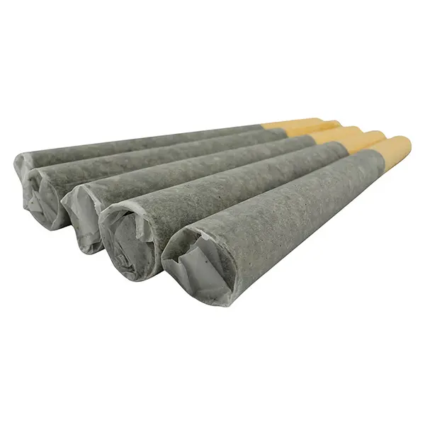 Image for Hive 5ive - Rotational Pre-Roll Pack, cannabis all products by Buzz'd