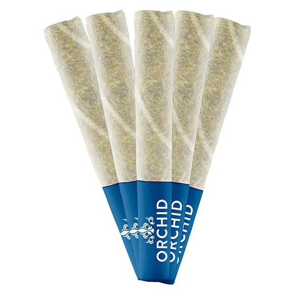 Image for Jean Guy CBD Pre-Roll, cannabis all products by Orchid CBD