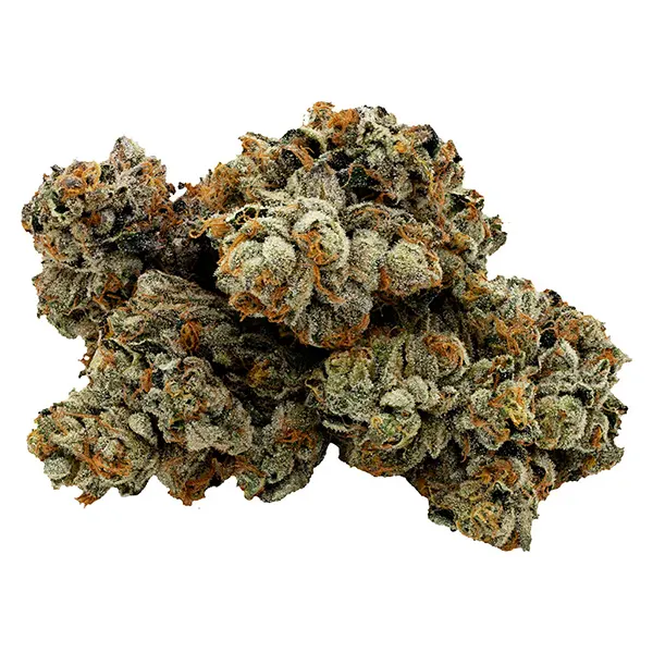 Bud image for Jet fuel Gelato x Pinesoul, cannabis all products by Smokestack