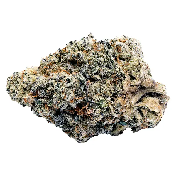 Image for Jokerz Cndy