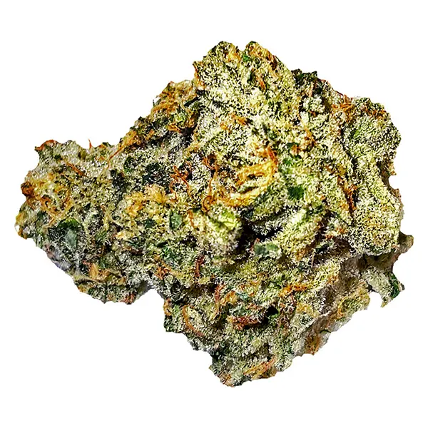 Bud image for Jordan X, cannabis all products by Cannabis Cartel