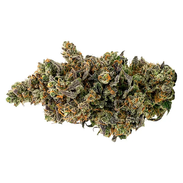 Bud image for Kush Mintz, cannabis dried flower by North of 28