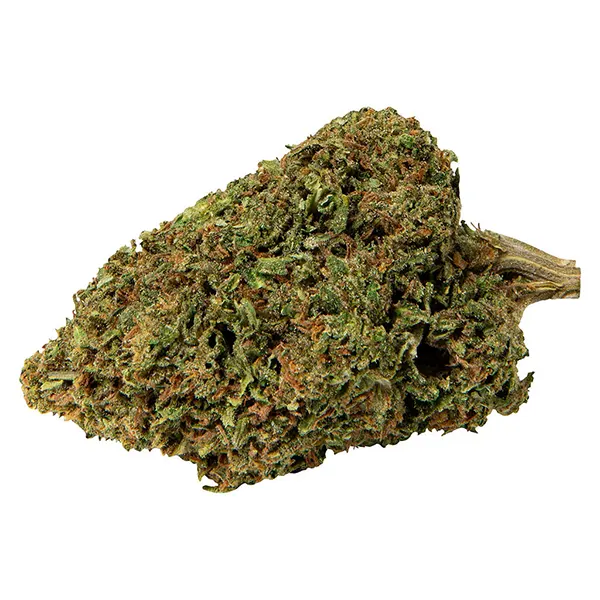 Bud image for Lemon Sapphire, cannabis all products by WholeHemp