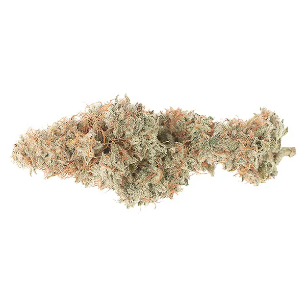 Bud image for Mango Cake Dry Flower, cannabis dried flower by Good Buds