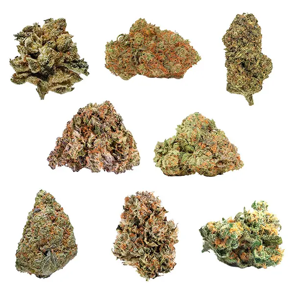 Bud image for Mix N Zip Variety Oz, cannabis all products by Potluck