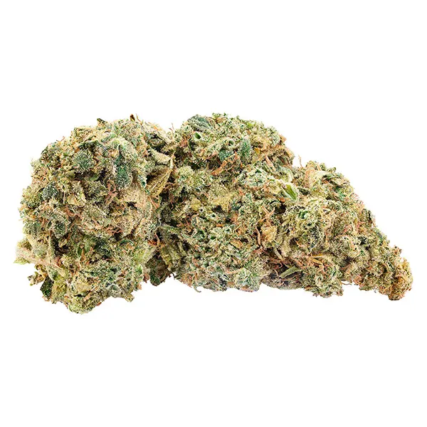 Bud image for Northern Nights, cannabis all products by Big Bag O' Buds