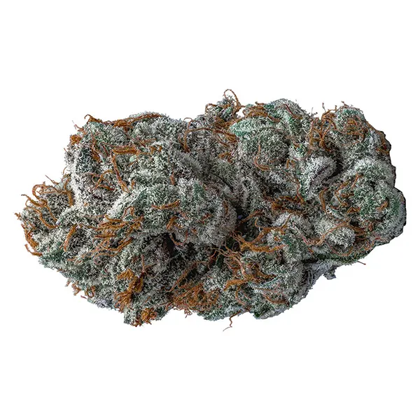 Bud image for Panama, cannabis all products by Contraband