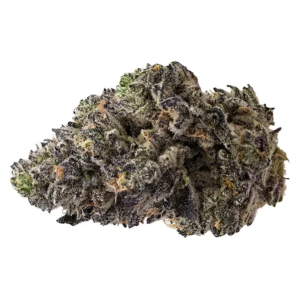 Bud image for Permanent Chapo, cannabis all products by Pistol and Paris
