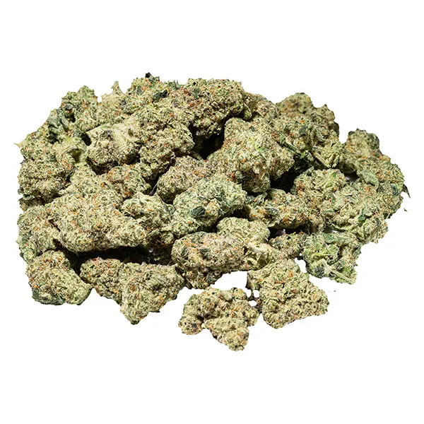 Image for OZ