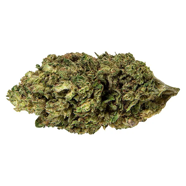 Bud image for Premium CBD Flower, cannabis all products by WholeHemp