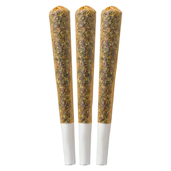 Image for Rotating Strain Sativa PRJ, cannabis all products by Seeker