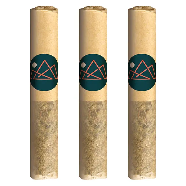 Image for Pure Moroccan Hash Pre-rolls, cannabis all products by Tremblant Cannabis