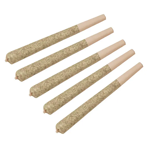 Image for Razzle Dazzle Raspberry Infused Pre-Roll, cannabis all products by Encore Supply Co