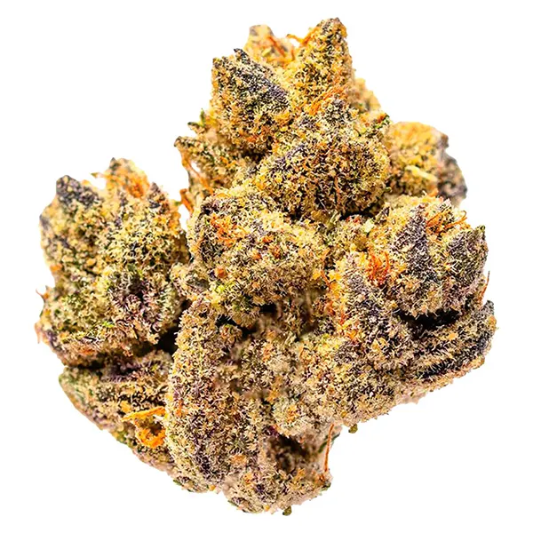 Bud image for Rocky Mountain High, cannabis dried flower by Potluck